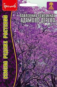 Павлония войлочная_Адамово дерево б/ф_10_шт._Григорьев