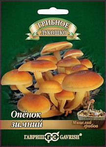 Мицелий_Опенок зимний на древесной палочке_12_шт._Гавриш