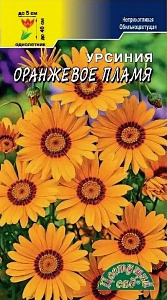 Урсиния_Оранжевое пламя_0,2_шт._Цветущий Сад