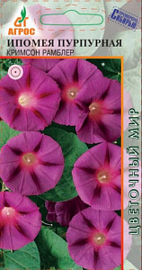 Ипомея_Кримсон Рамблер (пурпурная)_1_г._АГРОС