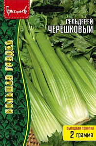 Сельдерей_Черешковый б/ф_2_г._Григорьев