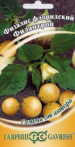 Физалис_Филантроп_20_шт._Гавриш