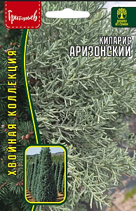 Кипарис_Аризонский б/ф_0,1_г._Григорьев