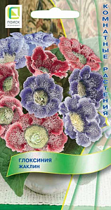 Глоксиния_Жаклин см_0,04_шт._Поиск
