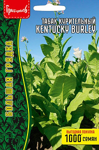 Табак курительный (махорка)_Кентукки Беркли (Kentucky Burley) б/ф_0,02_г._Григорьев