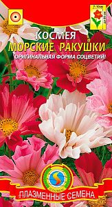 Космея_Морские ракушки см_0,04_г._Плазменные семена