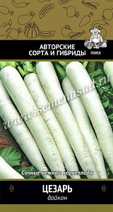 Дайкон_Цезарь_1_г._Поиск