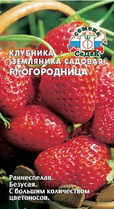 Земляника_Огородница F1 (кл)_15_шт._Седек