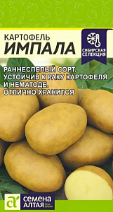 Картофель_Импала_0,02_г._Семена Алтая