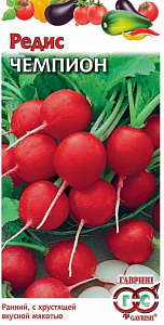 Редис_Чемпион  Б/П_2_г._Гавриш
