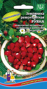 Земляника_Руяна_0,1_г._Уральский Дачник