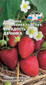 Земляника_Радость Дачника F1 (кл)_15_шт._Седек