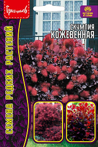 Скумпия_Кожевенная б/ф_20_шт._Григорьев