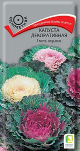 Капуста_декоративная_Смесь окрасок_0,04_г._Поиск
