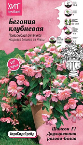 Бегония_Шансон Двухцветная Розово-Белая F1_5_шт._АгроСидсТрейд