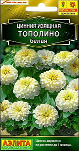 Цинния_Тополино Белая (Золотая серия)_12_шт._Аэлита