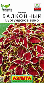 Колеус_Бургундское Вино (балконный)_0,04_шт._Аэлита