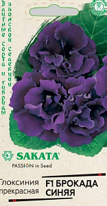 Глоксиния_Брокада Синяя F1 (махр)_0,04_шт._Гавриш