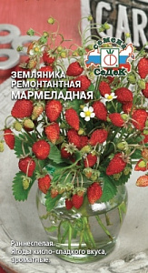 Земляника_Мармеладная_0_г._Седек