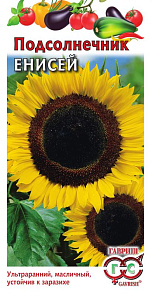 Подсолнечник_Енисей_0,04_г._Гавриш