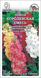 Левкой (маттиола)_Королевская см низкий_0,1_г._Золотая Сотка Алтая