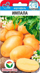 Картофель_Импала_0,04_шт._Сибирский Сад