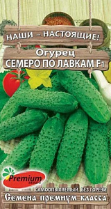 Огурец_Семеро по лавкам F1_10_шт._Премиум Сидс