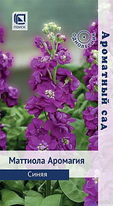 Левкой (маттиола)_Аромагия Синяя (Ароматный сад)_0,04_г._Поиск