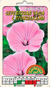 Лаватера (хатьма)_Серебряная чаша с прожилками_0,04_г._Цветущий Сад