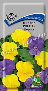 Фиалка_Модница см (рогатая)_0,1_г._Поиск