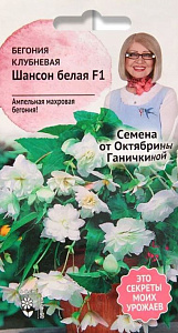 Бегония_Шансон Белая (амп)_0,04_шт._АгроСидсТрейд
