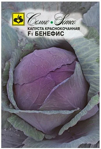 Капуста_кр/к_Бенефис F1_0,2_г._Семко
