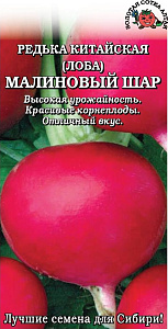 Редька_Лоба Малиновый шар_1_г._Золотая Сотка Алтая