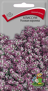 Алиссум (лобулярия)_Розовая Королева_0,3_г._Поиск