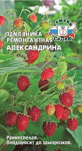 Земляника_Александрина_0_г._Седек