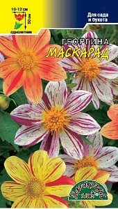 Георгин_Маскарад см_0,2_г._Цветущий Сад