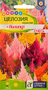 Целозия_Лилипут см (перистая)_0,1_г._Семена Алтая