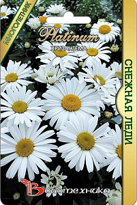 Хризантема_Снежная Леди_8_шт._Биотехника