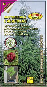 Лиственница_Сибирская_0,1_г._Аэлита Э