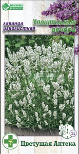 Лаванда_Упоительные Вечера (узколистная) (Цветущая Аптека)_5_шт._ЕВРОСЕМЕНА