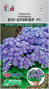 Агератум_Блу Блэйзер F1 (Профессиональные семена)_5_шт._Евросемена