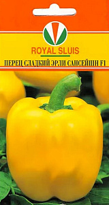 Перец_Эрли Сансейшн F1_5_шт._Акварель