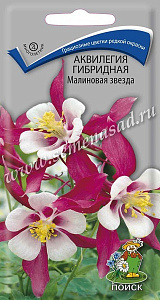 Аквилегия (водосбор)_Малиновая Звезда_0,1_г._Поиск