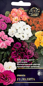 Примула_махр Лолита F1 см (бесстебельная)_0,04_шт._Седек