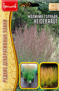 Молиния_Голубая (Heidebraut) (злак) б/ф_20_шт._Григорьев