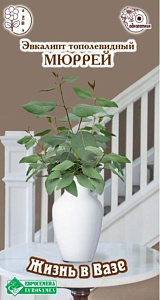 Эвкалипт_Мюррей (тополевидный) (Жизнь в вазе)_3_шт._ЕВРОСЕМЕНА