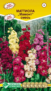 Левкой (маттиола)_Мамонт см (Цветочная Палитра)_0,04_г._ЕВРОСЕМЕНА