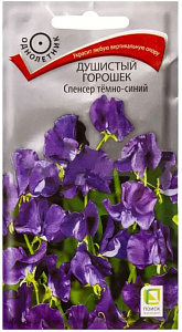Горошек_Спенсер см_2_г._Поиск