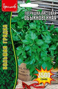 Петрушка_Обыкновенная листовая ВП б/ф_5_г._Григорьев