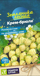 Земляника_Крем-брюле (ремонтантная)_0,02_г._Семена Алтая